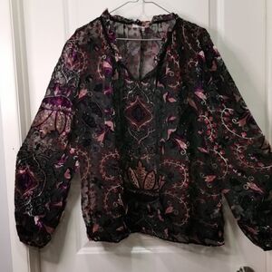 Chic Violet and Claire Shear Black With Purple Floral Velvet burnout Blouse